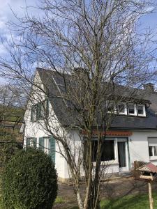 Una casa blanca con un árbol delante. en Ferienhäuser am Wisentpfad, en Bad Berleburg