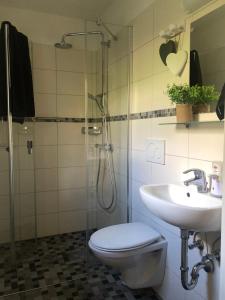 巴特貝勒堡的住宿－Ferienhäuser am Wisentpfad，带淋浴、卫生间和盥洗盆的浴室