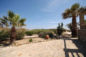 un jardín con palmeras y un camino de piedra en Nafsika 4Bedroom Sea View House en Mykonos ciudad