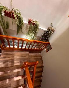 a wooden staircase with potted plants on the wall at Casa SAMAY OLLANTAYTAMBO in Ollantaytambo