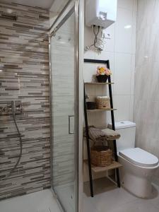 ein Bad mit einer Dusche und einem WC in der Unterkunft mezzanino Ribeira Brava in Vila da Ribeira Brava
