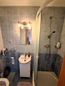 La salle de bains est pourvue d'un lavabo, d'une douche et de toilettes. dans l'établissement Penzión Villa Agnes, à Smolenice
