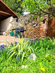 A garden outside Penzión Villa Agnes