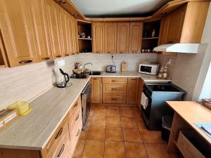 A kitchen or kitchenette at Penzión Villa Agnes