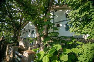 Zahrada ubytování BAM Hotel