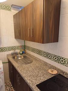 una cocina con fregadero y armarios de madera en Apartamentos Abderraman I, en Córdoba