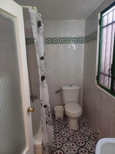 y baño con aseo y cortina de ducha. en Apartamentos Abderraman I, en Córdoba