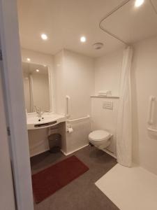 克萊蘇伊的住宿－CRYSTAL HOTEL，一间带卫生间、水槽和镜子的浴室
