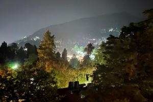 widok na miasto w nocy z drzewami w obiekcie Hotel Cottage Orchid Nainital - Parking Facilities - Luxury & Hygiene Room - Best Seller w mieście Nainital