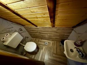 Koupelna v ubytování Vlasic Odmor - Villa Krajina III