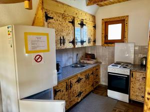 Kuchyň nebo kuchyňský kout v ubytování Vlasic Odmor - Villa Krajina III