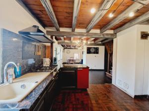 eine Küche mit einer Spüle und einer Arbeitsplatte in der Unterkunft Le Petit Hangy in Fresse-sur-Moselle