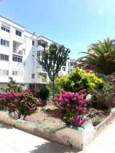 a garden with pink flowers in front of a building at Relax apartamento 5 in Las Palmas de Gran Canaria