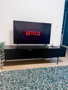 TV a/nebo společenská místnost v ubytování RAUM2GO - NO1 modernes ruhiges 2-Schlafzimmer apartment CITY & PARK