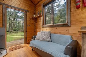 a living room with a blue couch and a window at Rendezvous Nexus in Toolangi