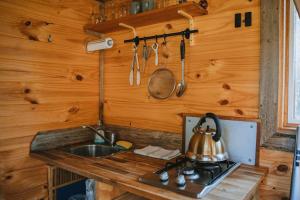 una cocina con fregadero y un hervidor de agua en una encimera en Rendezvous Nexus en Toolangi