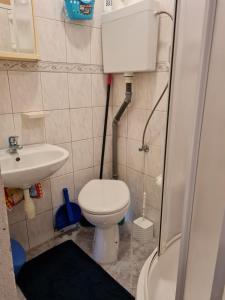 a small bathroom with a toilet and a sink at Villa Agata in Lastovo +33 photos