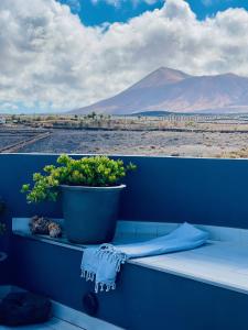 a blue ledge with a plant and a pot at CASA MIRABEL in Villaverde