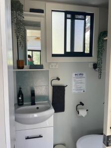 a small bathroom with a sink and a mirror at Tiny Nanook - Kanimbla Valley in Kanimbla