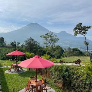 two tables and chairs with a mountain in the background at Teras Seroja Homestay in Wonosobo