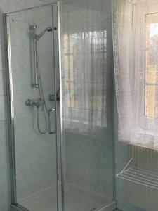 um chuveiro com uma porta de vidro na casa de banho em Ferienhaus Loretto em Wölzing