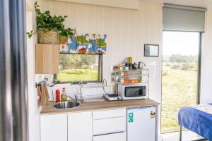 a small kitchen with a sink and a microwave at Tiny Balloon House in Canowindra