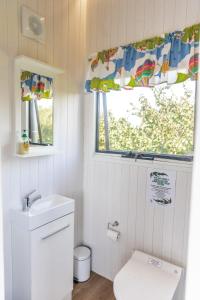 a bathroom with a toilet and a window at Tiny Balloon House in Canowindra