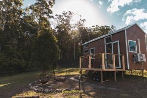 a tiny house in the middle of a yard at Kookaburra Cabin in Palmwoods