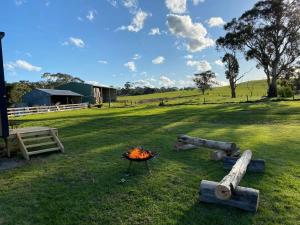 a field with logs and a fire in the grass at Bush Retreat in Alberton West