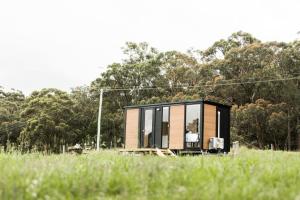 ein winziges Haus auf einem Feld mit Bäumen im Hintergrund in der Unterkunft Gumnut in Kangaroo Valley