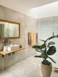 a bathroom with a sink and a potted plant at La Mera Ocean-View, 2 Bedroom - Apartment with Pool and NEW renovated Art Style Rooms in Shanzu