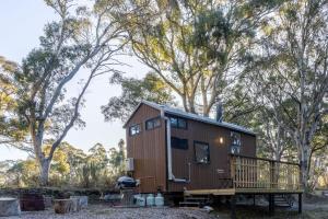 a tiny house in the woods with a deck at Wombat Cottage in Crackenback