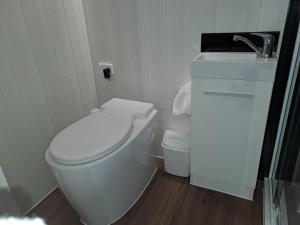 a bathroom with a white toilet and a sink at Gums n Roses in Macclesfield
