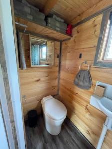 uma pequena casa de banho com WC e lavatório em Stargazer em Axedale