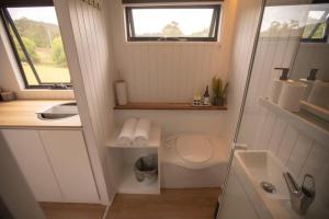 Hill Creek Tiny House في Perwillowen: حمام صغير مع مرحاض ومغسلة