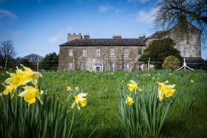 Ballymaloe House Hotel外面的花园