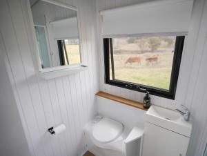 a bathroom with a toilet and a sink and a window at Little Argyle Tiny House in Coonabarabran