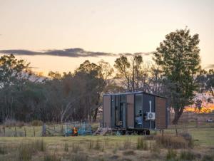 a tiny house in a field with a fence at Little Argyle Tiny House in Coonabarabran