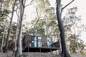 a house in the woods with trees around it at Tiny Tamborine 1 in Wongawallan