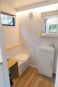 a small bathroom with a toilet and a sink at Fig Tree Cottage in Darlington