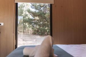 a persons foot on a bed looking out a window at Wally's Retreat 1 in Balingup