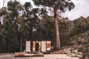 a tiny house in the middle of a forest at Pirates Retreat in Eaglehawk Neck