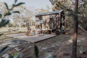 a tiny house in the woods with a person sitting on a table at Noosa Tiny Home in Ringtail Creek