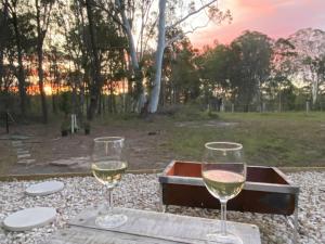 dwa kieliszki białego wina siedzące na stole w obiekcie Noosa Tiny Home w mieście Ringtail Creek