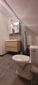 ein Badezimmer mit einem weißen WC und einem Waschbecken in der Unterkunft Chez Philippe et Agnès in Vauciennes