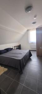 ein Schlafzimmer mit einem großen Bett in einem Zimmer in der Unterkunft Chez Philippe et Agnès in Vauciennes