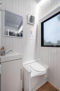 biała łazienka z umywalką i oknem w obiekcie Left Field Tiny House w mieście Ashbourne