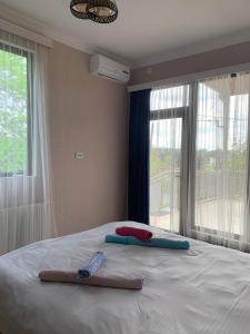 uma cama com duas escovas de dentes com uma janela em Tsivi Tba em Tskaltubo