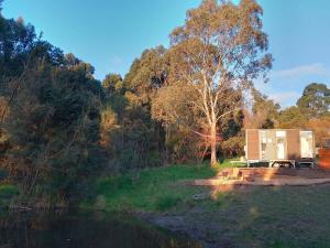 a tiny house sitting on the shore of a lake at The Whistling Frog in Neerim South