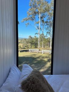 1 dormitorio con ventana con vistas a un patio en The Retreat Tiny House en Lagoon Pocket